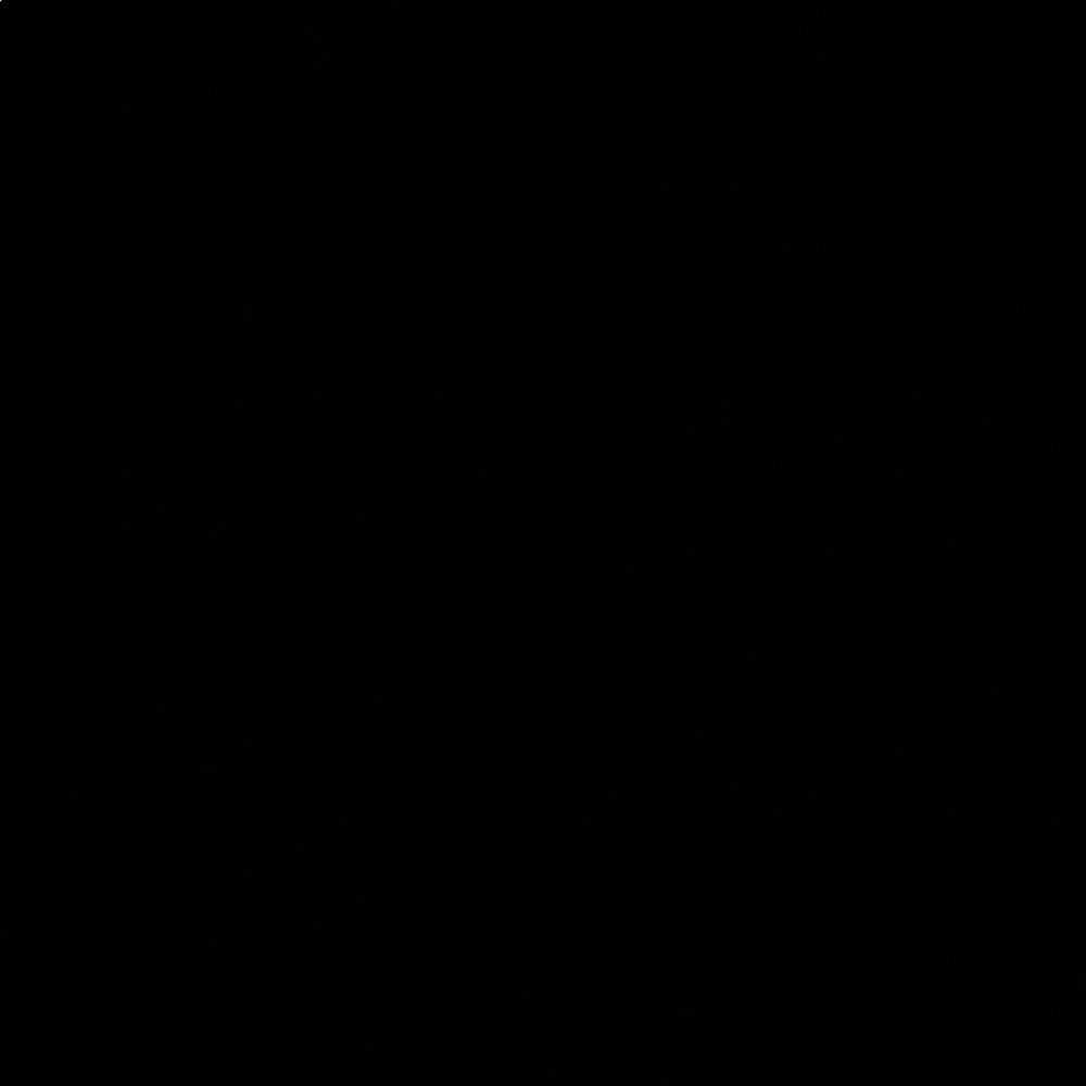 Meet your Posher, Angelica